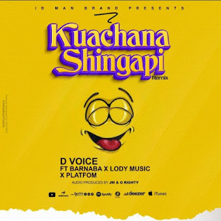 AUDIO D Voice Ft. Barnaba, Lody Music & Platform tz – Kuachana Shingapi Mp3 Download