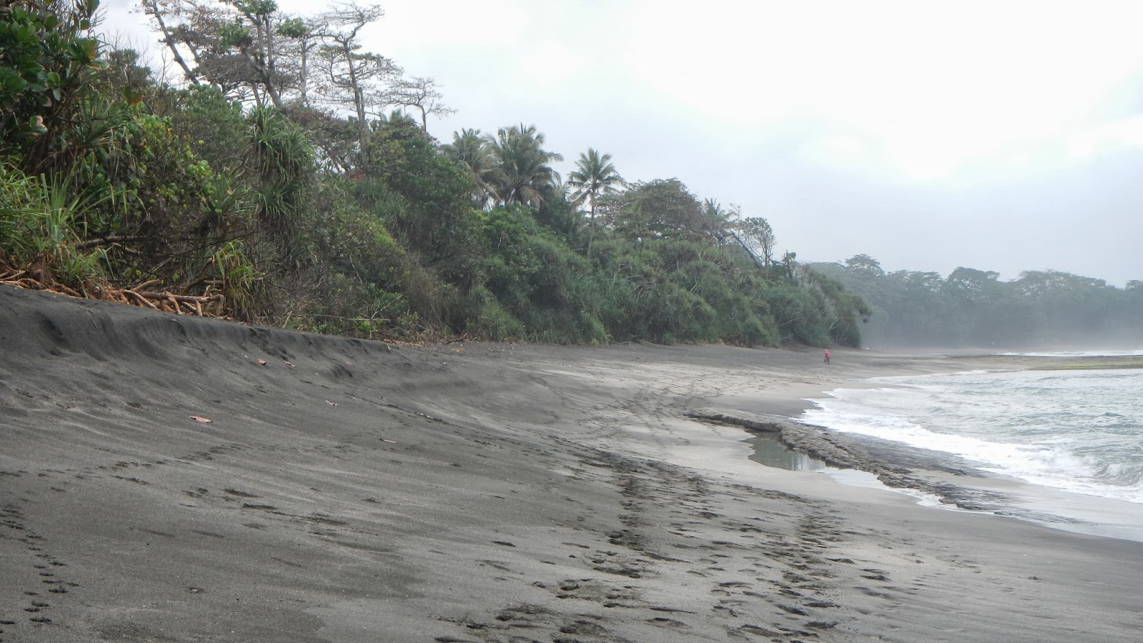 Darimana Asal Pasir Besi Andyyahyacom