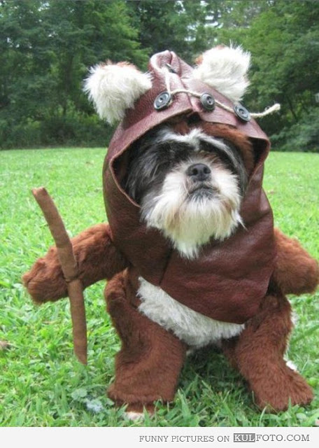 Dog Ewok Costume2