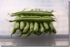 IMG_7233 IMG_7233