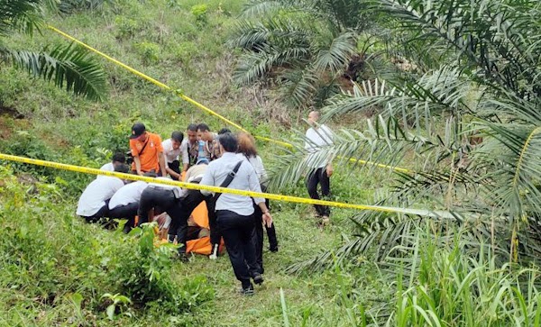 Anggota TNI Serka Halil Putra Tewas dengan Tubuh Penuh Luka Bacok, Ditemukan di Perkebunan Sawit