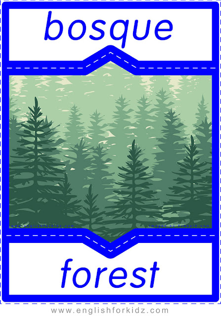 Forest in Spanish, English-Spanish flashcard