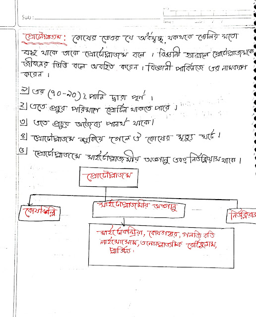 SSC Biology Chapter 2 Hand Note