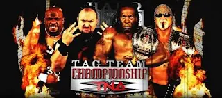 TNA Hard Justice 2009 Review: Team 3D vs. Booker T & Scott Steiner - TNA Tag Titles