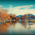 “Laguna Santiaguillo” casa de las aves acuáticas, lugar inigualable