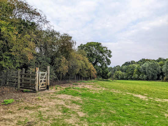 The gate from Braughing footpath 35 to Station Road