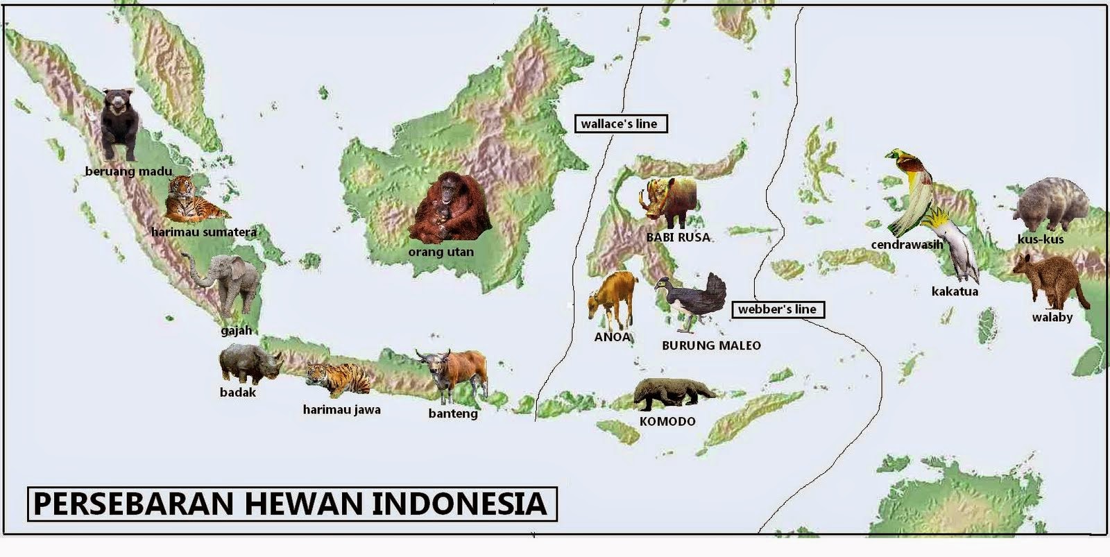 Peta Persebaran Fauna  di  Indonesia 