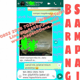 Hub 0852 2926 7029 Agen Tiens Syariah Bulukumba Distributor Stokis Toko Cabang