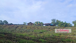 Saudagar Nanas Agrofarm, Kajang | Kafe di ladang nanas yang berkonsepkan agrotourism