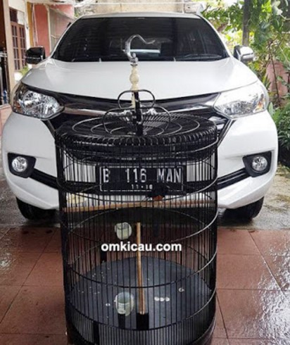 Murai Batu Pemenang NEW AVANZA Senilai Ratusan JUTA, Ini Keistimewaannya..