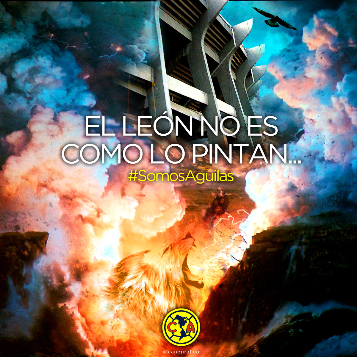 El león no es como lo pintan... #SomosAguilas • 17102012