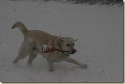 IMG_9475