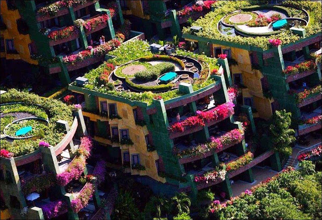 Urban Garden Design Ideas