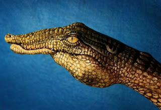 Crocodile (Hand Art)