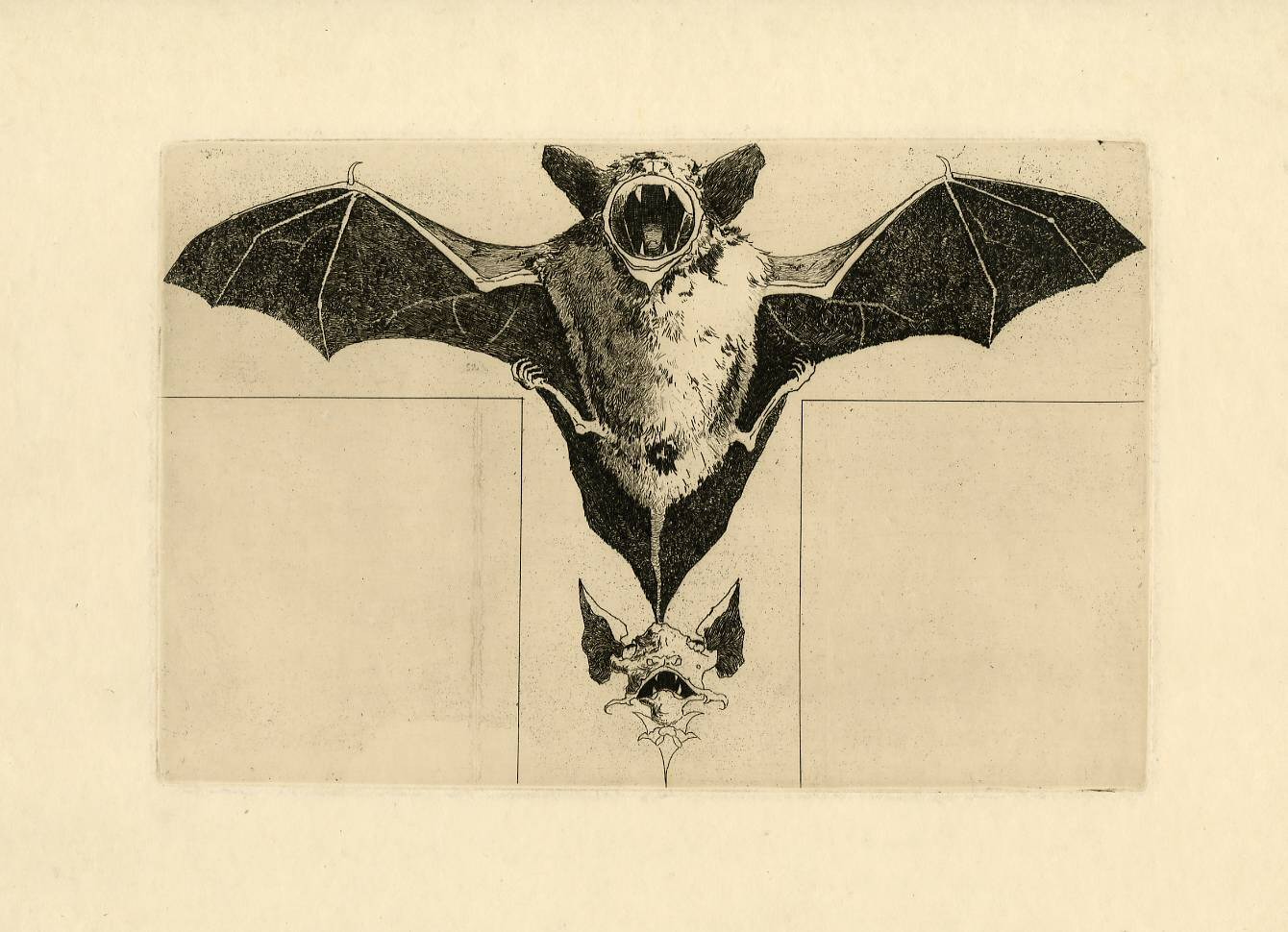 Bat Illustration