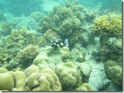 IMG_0435 IMG_0435