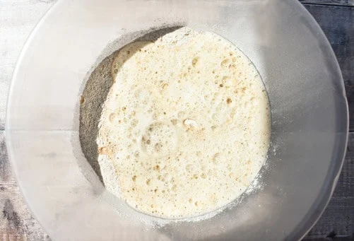 Wholemeal Beer Bread - STEP FIVE - an overhead shot of the flour in the baking bowl covered with bubbly froth from the beer