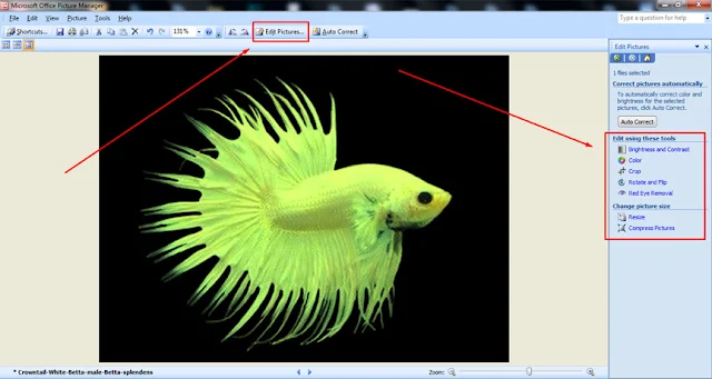 Cara Edit Foto di Microsoft Office Picture Manager