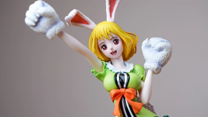 [ZOOM!] Carrot - P.O.P Limited Edition