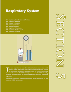 Important topics in physiology for mbbs exams :Respiratory system