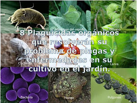 8 Plaguicidas y fungicidas orgánicos