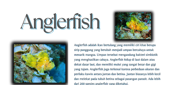 Ikan Anglerfish: Fakta Menarik dan Cara Hidupnya di Laut Dalam