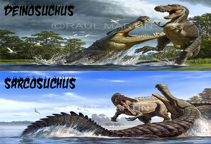 Deinosuchus Sarcosuchus Binatang  Purba  Sama Tapi Tak 