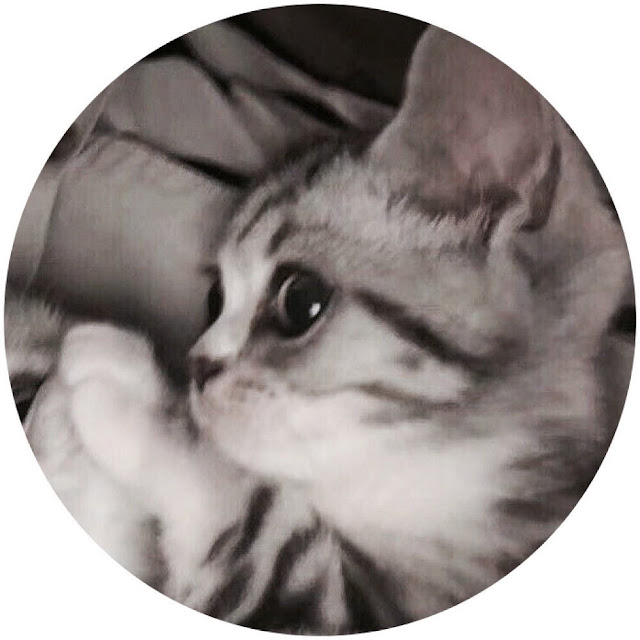 Discord PFP Funny