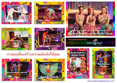 Best Entertainment Chiang Mai Adams Apple Nightclub