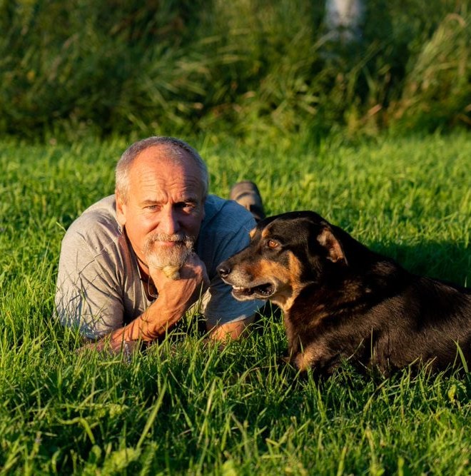 volunteering with horses in Sweden, dogs, photography, food and accommodation, farm