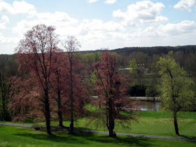 The view from the terrace at the Chateau of Cande.  Indre et Loire, France. Photographed by Susan Walter. Tour the Loire Valley with a classic car and a private guide.