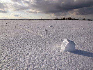 Snow Roller, Fenomena Meteorologi yang Langka