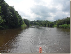 SAM_3250 SAM_3250