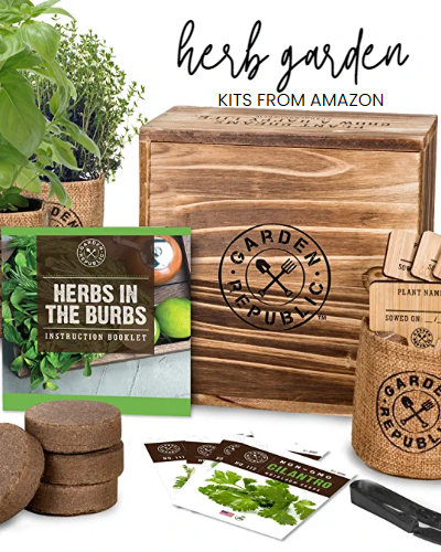 Herb Garden Kits from Amazon | On The Creek Blog // www.onthecreekblog.com