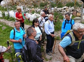 Colla dels Bufets d'Olot