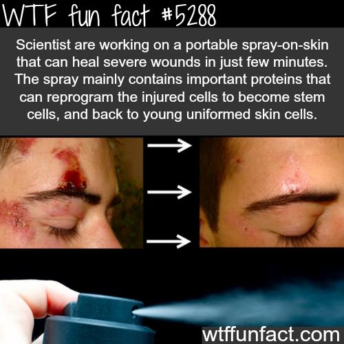 40 Amazing WTF Fun Random Facts