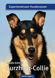 Kurzhaar-Collie: Expertenwissen Hunderassen