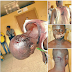 PHOTOS: OMG! See How A Custom Officer Was Brutally Attacked by a Team of Smugglers