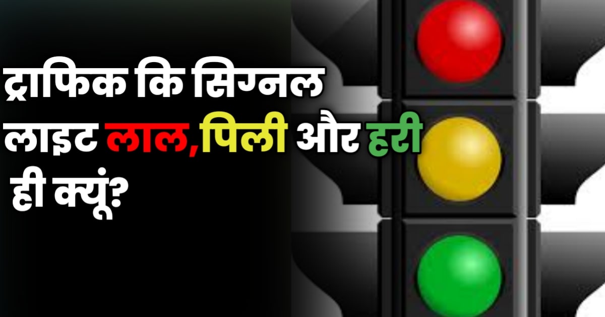 चित्र