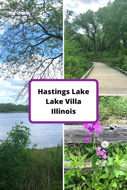 Basking in Nature at Hastings Lake Forest Preserve in Lake Villa, Illinois