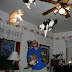 A Man Playing With 5 Cat