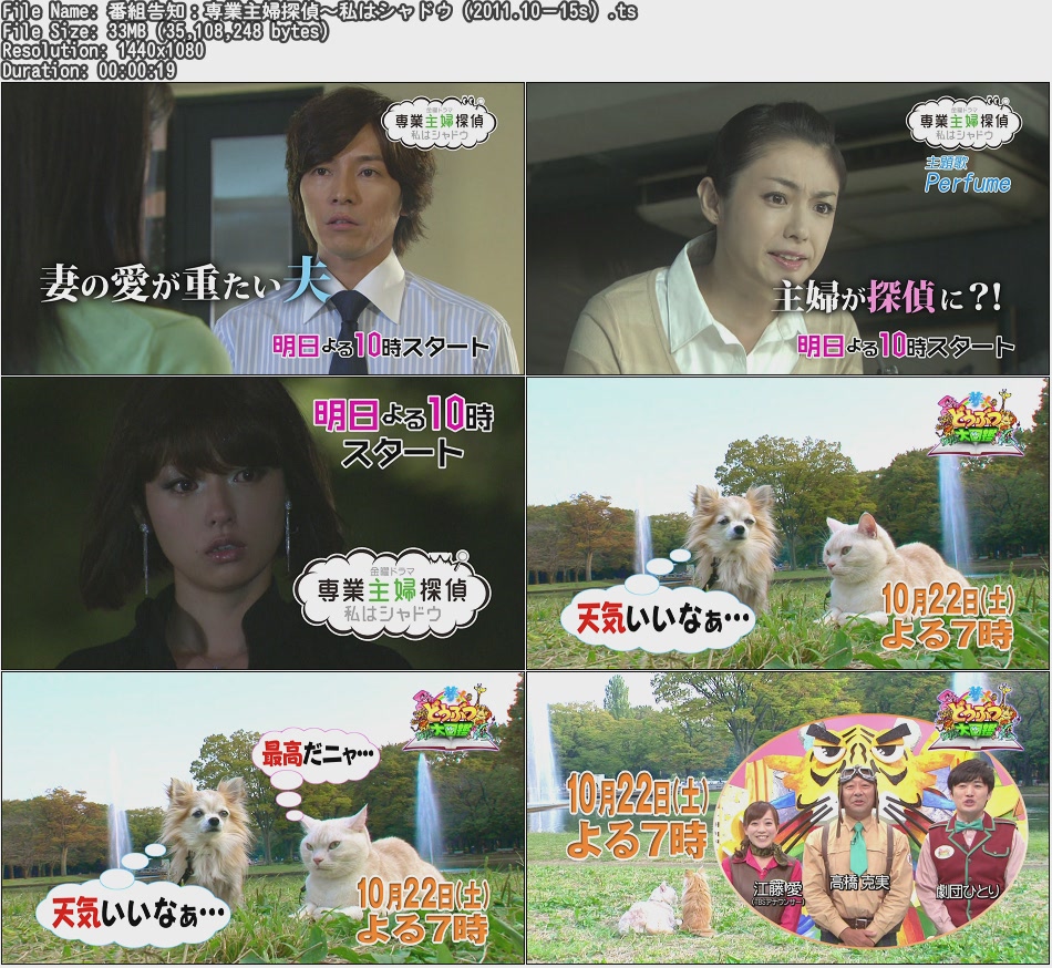 Tvcm Cut Hd Cm 番組告知 専業主婦探偵 私はシャドウ 11 10 15s Tvcm Cut Hd Cm 番組告知 専業主婦探偵 私はシャドウ 11 10 15s