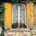 Upcycled: New Ways With Old Window Shutters