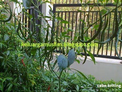 keluargamuslim.blogspot.com