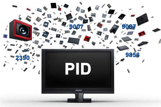 PID - Packet Identifier