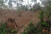 Sejumlah Petani Badui Kabupaten Banten Tunda Tanam Padi Akibat Kemarau
