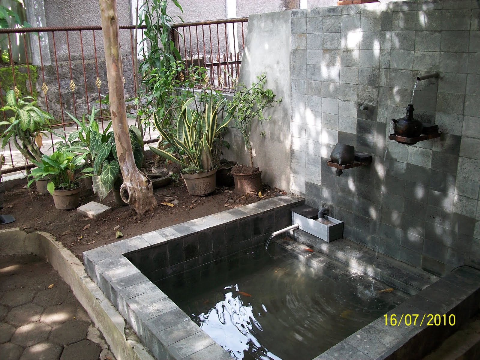 Rumah minimalis  Desain kolam ikan minimalis 