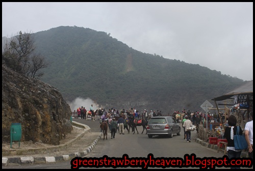 Ann Mikael : Bandung Day 2 : Tangkuban Perahu dan Hot Spring