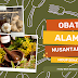 Obat Alami