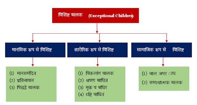 विशिष्ट बालक के प्रकार